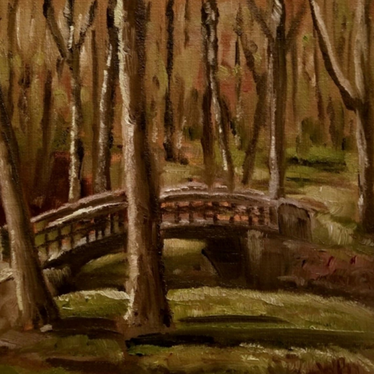 A Stroll Through the Woods
