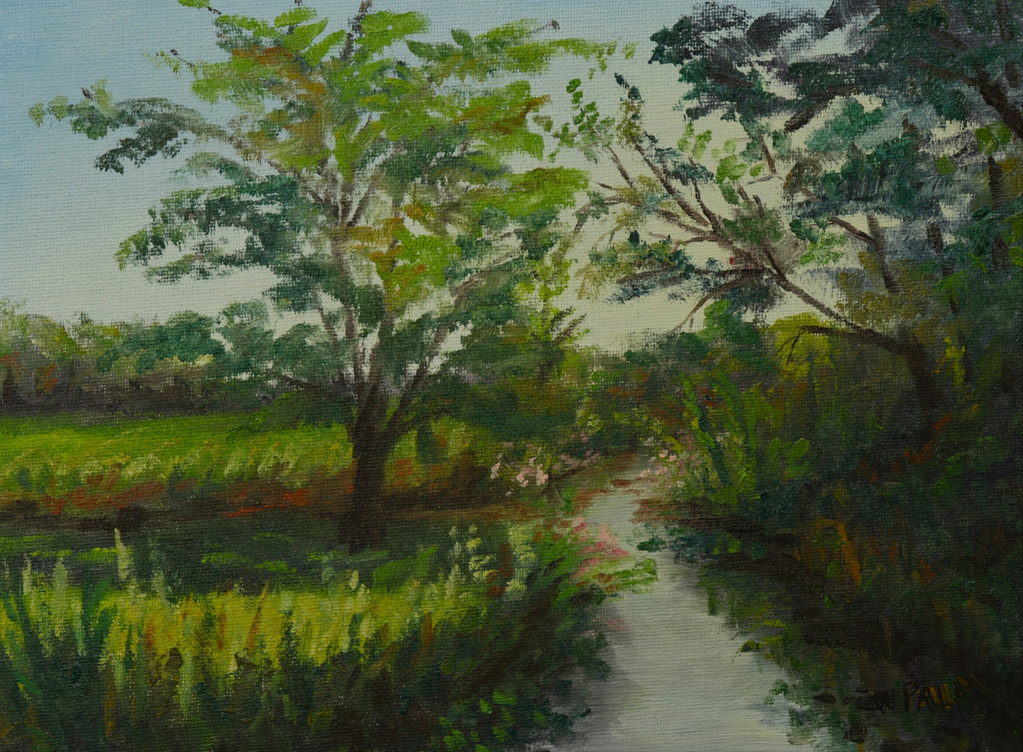 Butterfly Stream