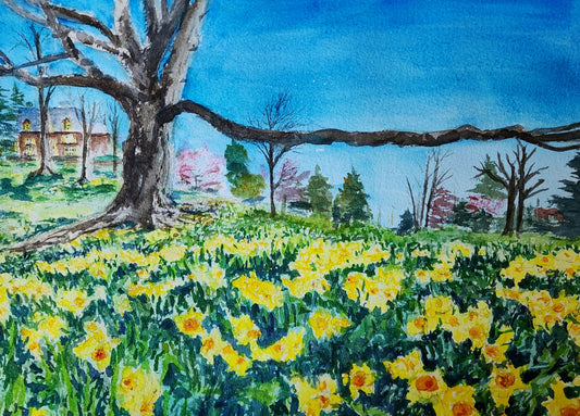 Daffodil Festival — Original Watercolor Painting