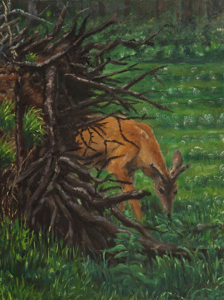 Grazing