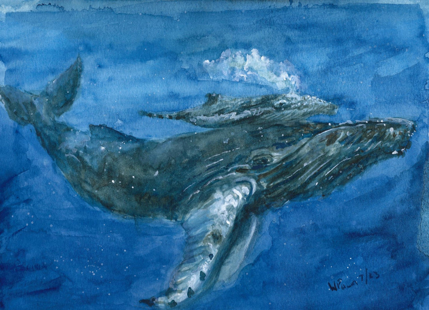 William Palm Fine Art Gift Card