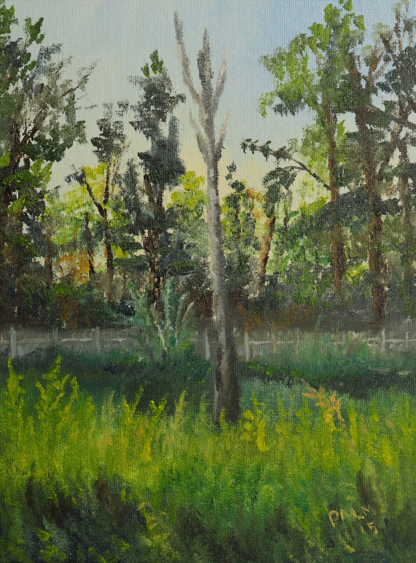 The Dying Tree